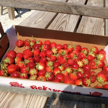 Lakeview Farms - Strawberry picking! - Fruits & Veggies Near Me - Saint Peters, Missouri Lakeview Farms - Strawberry picking! - Fruits & Veggies Near Me - Saint Peters, Missouri