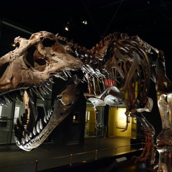 Royal Tyrrell Museum - My, what big teeth you have, my dear! - Museums Near Me - Drumheller, Alberta Royal Tyrrell Museum - My, what big teeth you have, my dear! - Museums Near Me - Drumheller, Alberta