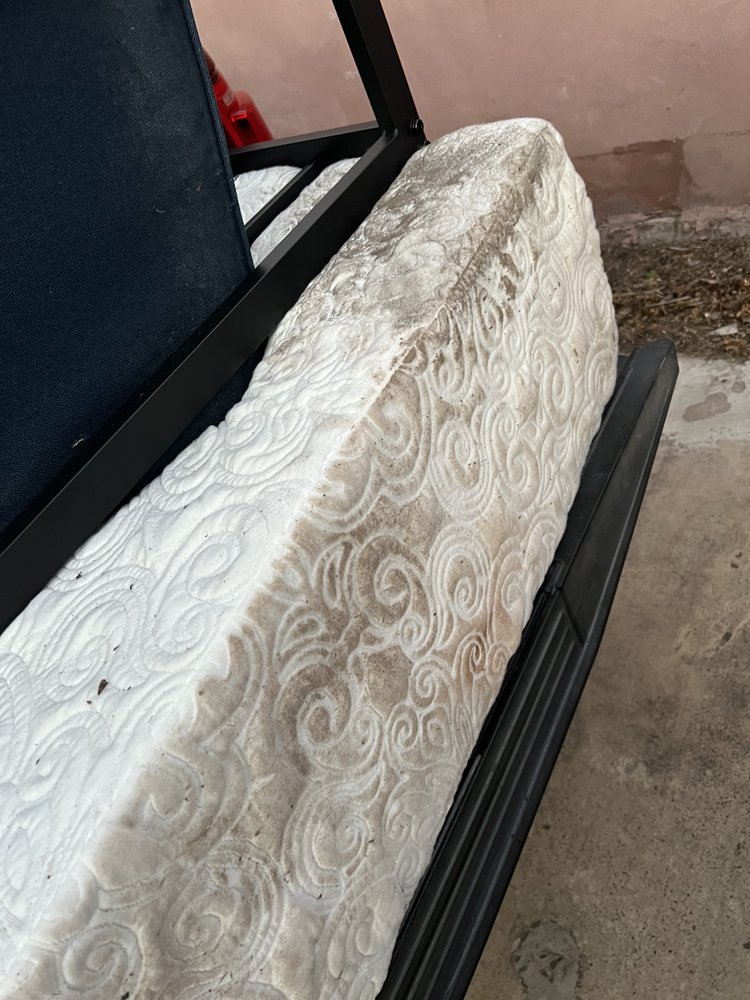 PMI RGV Updated September 2024 24 Photos 1001 S 10th St, Mcallen