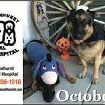 Lindenhurst Animal Hospital - Veterinarians Near Me - Lindenhurst, Illinois Lindenhurst Animal Hospital - Veterinarians Near Me - Lindenhurst, Illinois