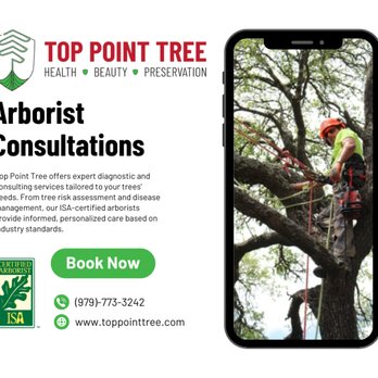 Top Point Tree - Call us for an arborist consultation today!  We serve Bryan-College Station & Surrounding areas. - Tree Services Near Me - Bryan, Texas