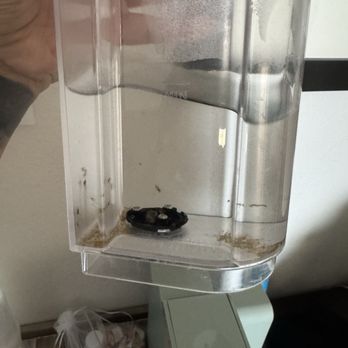 The Edgewater - Mold in the keurig - Hotels Near Me - Avalon, California