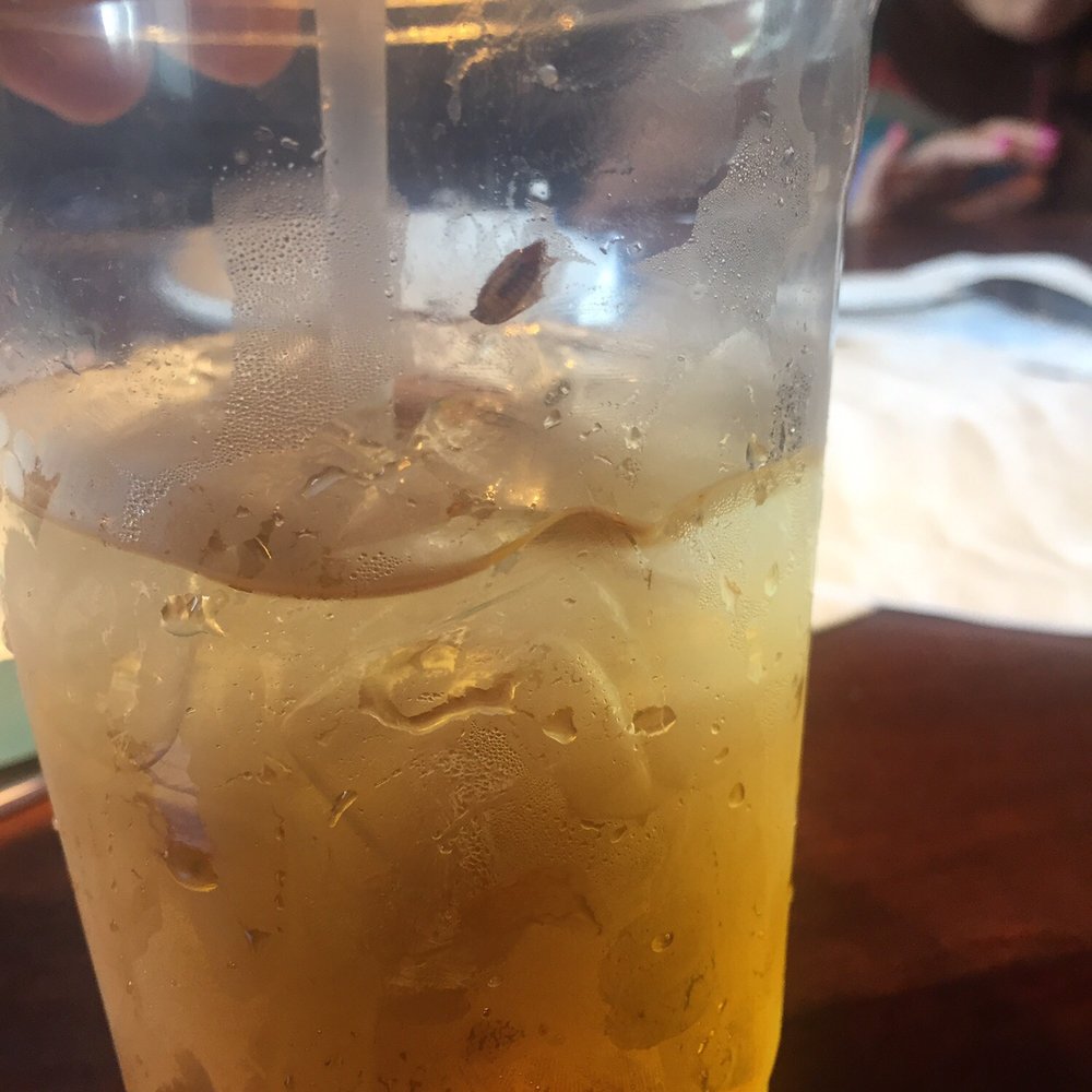 Red Lobster - bugs in the children's apple juice - Seafood Near Me - Miami, Florida Red Lobster - bugs in the children's apple juice - Seafood Near Me - Miami, Florida