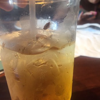 Red Lobster - bugs in the children's apple juice - Seafood Near Me - Miami, Florida