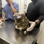 Photo of Francis Animal Clinic