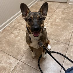 Animal Hospital of North Gwinnett
