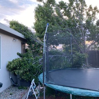 TreeMax Tree Service - Tree Services Near Me - Citrus Heights, California TreeMax Tree Service - Tree Services Near Me - Citrus Heights, California