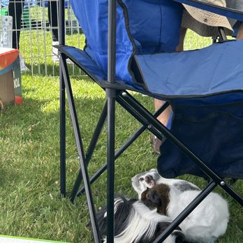 Marin Humane - #Bayareapignic - Animal Shelters Near Me - Novato, California Marin Humane - #Bayareapignic - Animal Shelters Near Me - Novato, California