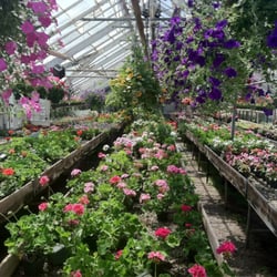 Main Street Flower