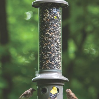 Wild Birds Unlimited - Katy - WBU Eliminator (anti-squirrel) Feeder - Bird Shops Near Me - Katy, Texas Wild Birds Unlimited - Katy - WBU Eliminator (anti-squirrel) Feeder - Bird Shops Near Me - Katy, Texas