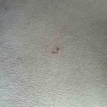 Foggy Mountain Lodge & Pub - Dirty Carpet - American Near Me - Stahlstown, Pennsylvania
