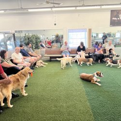 Woofs Canine Club & Indoor Dog Park