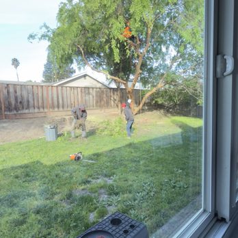 Julian Tree Care - Tree Services Near Me Julian Tree Care - Tree Services Near Me