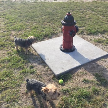 Lake Druid Park Dog Run - Dog Parks Near Me - Orlando, Florida