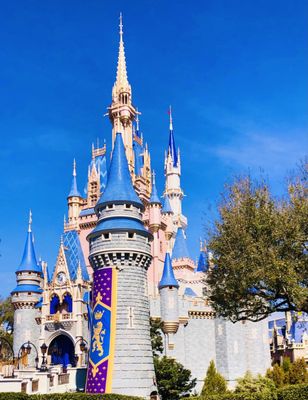 Magic Kingdom Park by null