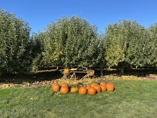 Beilke Family Farm by null
