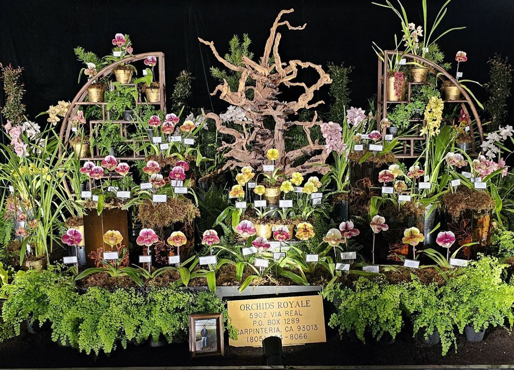 ORCHIDS ROYALE Updated September 2024 5902 Via Real, Carpinteria