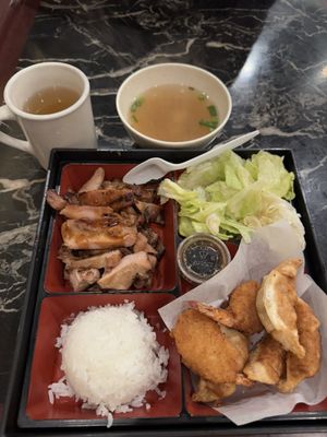 Nikko Teriyaki by null