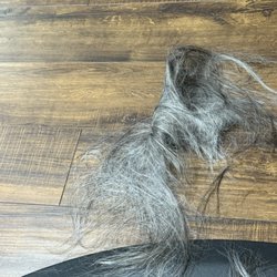 Canvas Studio - A smattering of the hair cut
