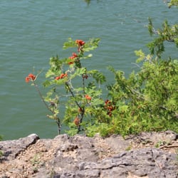 Elora Quarry