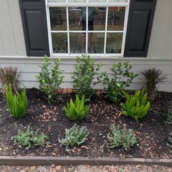 Summer Bee Nursery - Purple Grass, gardenias, foxtail ferns, and blue daze.