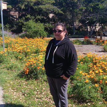 Alameda Beach - Mom with all the poppy blooming - Beaches Near Me - Alameda, California Alameda Beach - Mom with all the poppy blooming - Beaches Near Me - Alameda, California