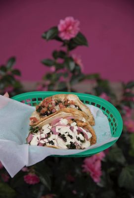 The Queso Shop by null