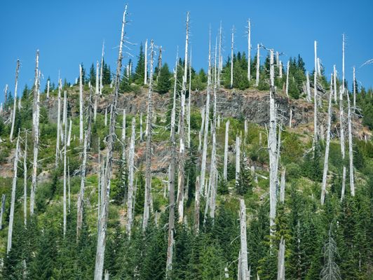 Mt St Helens by null