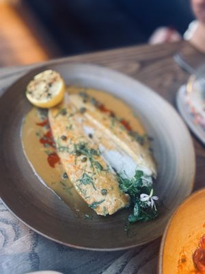 Mēdüzā Mediterrania New York by null