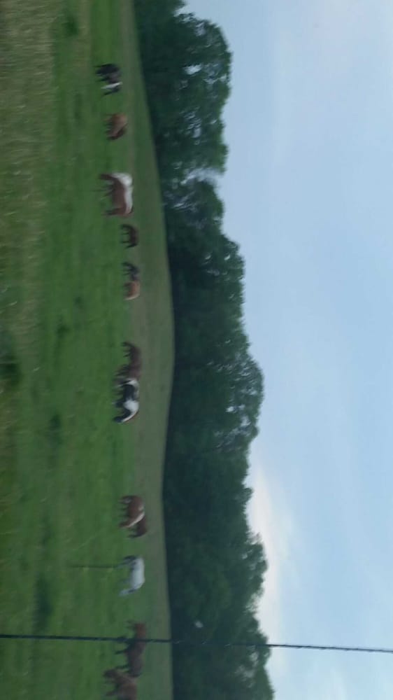 Social spots from El Rancho Manana Campground & Riding Stable