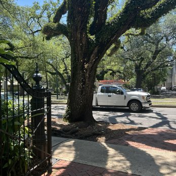 Columns - St Charles - Hotels Near Me - New Orleans, Louisiana Columns - St Charles - Hotels Near Me - New Orleans, Louisiana