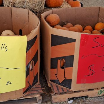 Halloween Town Pumpkin Patch - Pumpkin Patches Near Me - Las Vegas, Nevada Halloween Town Pumpkin Patch - Pumpkin Patches Near Me - Las Vegas, Nevada