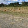 Photo of Bakewicz Farms