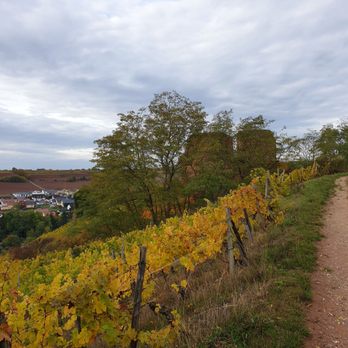 Burgruine Gutenberg - Weinberge, Ortschaft und Burgruine Gutenberg - Landmarks & Historical Buildings Near Me - Gutenberg, RP