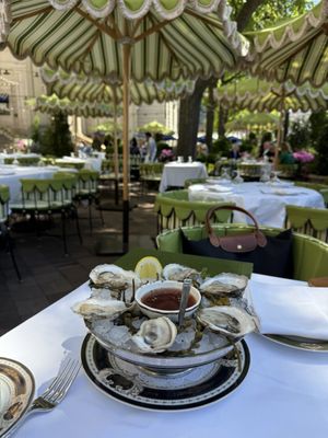 The Occidental by null