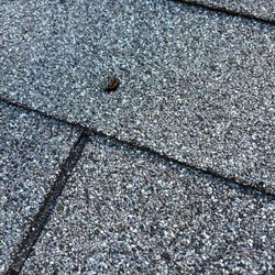 Findlay Roofing - Exposed nail