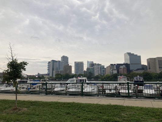 Charles River Esplanade by null