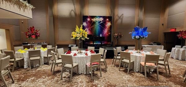 The Eldred Preserve by null