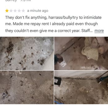 Haven Properties - Mice and rat feces that have been left there by Haven properties with refusal to do anything about it for over 6 months - Property Management Near Me - Surrey, British Columbia Haven Properties - Mice and rat feces that have been left there by Haven properties with refusal to do anything about it for over 6 months - Property Management Near Me - Surrey, British Columbia