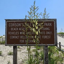 Corson's Inlet State Park