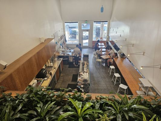 Blue Bottle Coffee by null