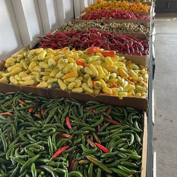 Larry's Produce - Peppers!?! the colors there are sooo beautiful. - Fruits & Veggies Near Me - Fairfield, California Larry's Produce - Peppers!?! the colors there are sooo beautiful. - Fruits & Veggies Near Me - Fairfield, California