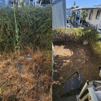 Golden State Tree Service - Small yard needed clearing - Tree Services Near Me - Glendora, California