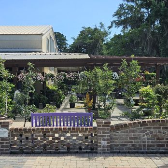 Sunshine Nursery & Landscape - Nurseries & Gardening Near Me - Bluffton, South Carolina Sunshine Nursery & Landscape - Nurseries & Gardening Near Me - Bluffton, South Carolina