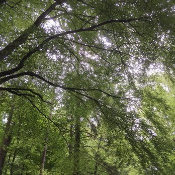 Ebersberger Forst - Active Life Near Me