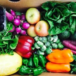 Talley Farms Fresh Harvest - Fresh Harvest October 2014. It's pepper season!