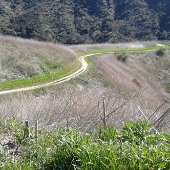 Whiting Ranch Wilderness Park - Mustard Trail is not all that exciting - Parks Near Me - Foothill Ranch, California Whiting Ranch Wilderness Park - Mustard Trail is not all that exciting - Parks Near Me - Foothill Ranch, California