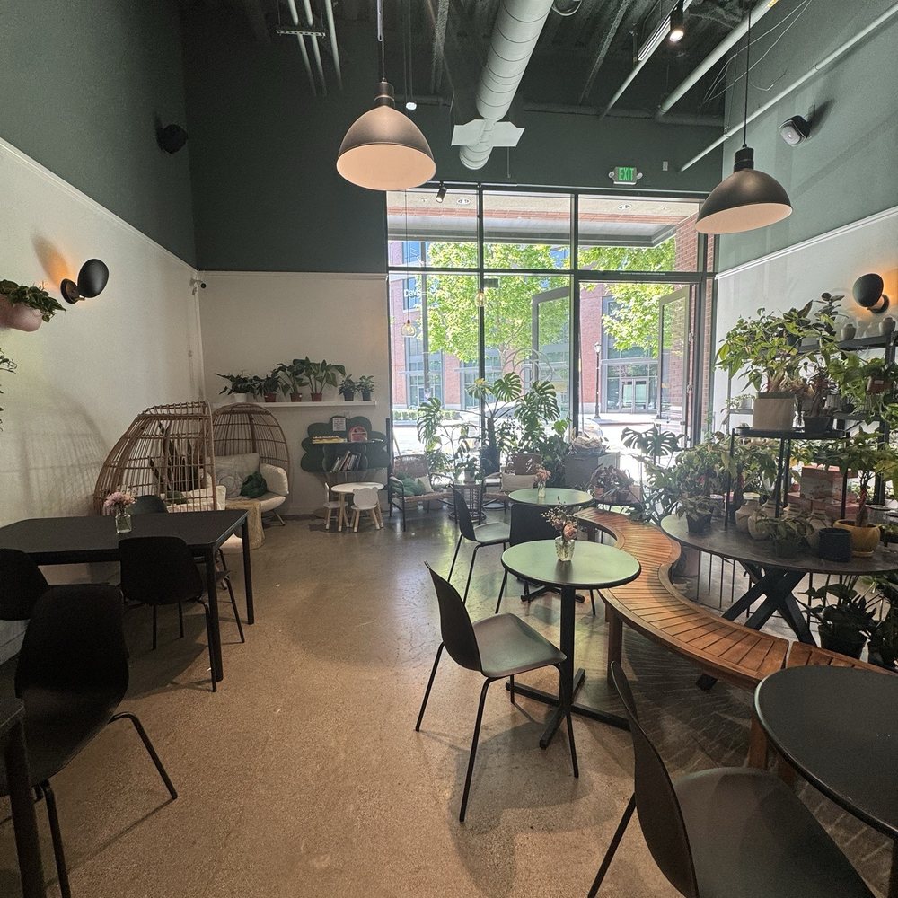 Bloomsgiving - Florists Near Me - Redwood City, California