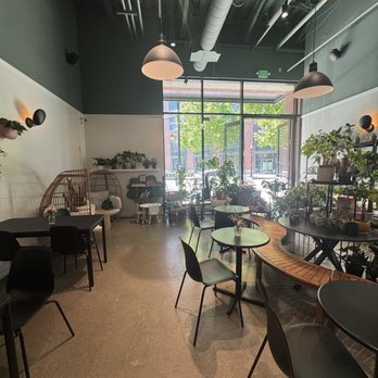 Bloomsgiving - Florists Near Me - Redwood City, California