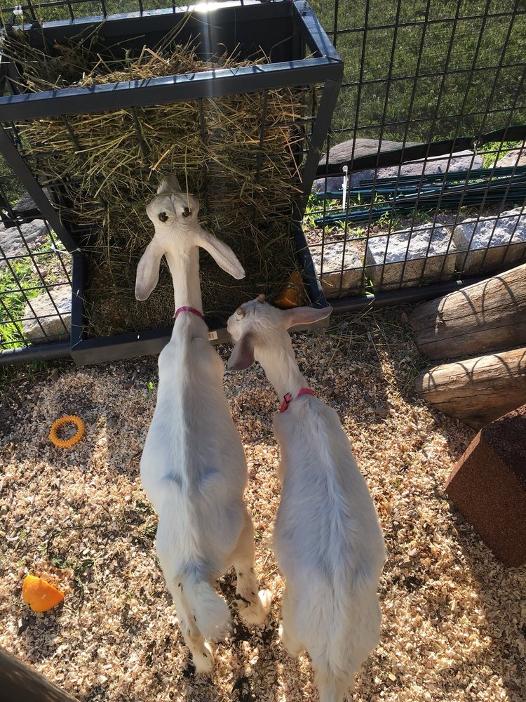 DEVIL’S LAKE LAVENDER FARM Updated October 2024 E11364 WI136